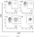 Fig. 06 - ARTIFICIAL VIRUS PRESENTING CELLS