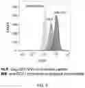 Fig. 07 - ARTIFICIAL VIRUS PRESENTING CELLS