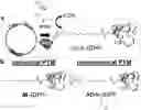 Fig. 01 - Non-canonical lipoproteins with programmable assembly and architecture and method of making non-canonical lipoproteins