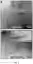 Fig. 06 - Non-canonical lipoproteins with programmable assembly and architecture and method of making non-canonical lipoproteins