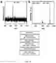 Fig. 10 - Non-canonical lipoproteins with programmable assembly and architecture and method of making non-canonical lipoproteins