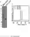 Fig. 16 - Non-canonical lipoproteins with programmable assembly and architecture and method of making non-canonical lipoproteins