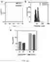 Fig. 21 - Non-canonical lipoproteins with programmable assembly and architecture and method of making non-canonical lipoproteins