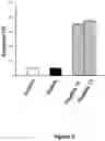 Fig. 06 - NEW INHIBITORS OF LRRK2/PP1 INTERACTION