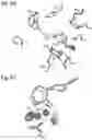 Fig. 11 - PROTEINS AND METHODS FOR DISRUPTING BACTERIAL COMMUNICATION