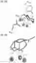 Fig. 13 - PROTEINS AND METHODS FOR DISRUPTING BACTERIAL COMMUNICATION