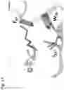 Fig. 16 - PROTEINS AND METHODS FOR DISRUPTING BACTERIAL COMMUNICATION