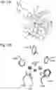 Fig. 19 - PROTEINS AND METHODS FOR DISRUPTING BACTERIAL COMMUNICATION