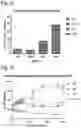 Fig. 25 - PROTEINS AND METHODS FOR DISRUPTING BACTERIAL COMMUNICATION