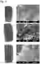 Fig. 30 - PROTEINS AND METHODS FOR DISRUPTING BACTERIAL COMMUNICATION