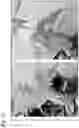 Fig. 36 - PROTEINS AND METHODS FOR DISRUPTING BACTERIAL COMMUNICATION