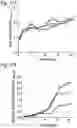 Fig. 42 - PROTEINS AND METHODS FOR DISRUPTING BACTERIAL COMMUNICATION