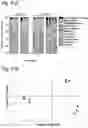 Fig. 46 - PROTEINS AND METHODS FOR DISRUPTING BACTERIAL COMMUNICATION