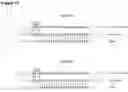 Fig. 22 - CAS9 VARIANTS WITH ENHANCED SPECIFICITY
