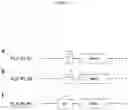 Fig. 02 - POLYNUCLEOTIDES