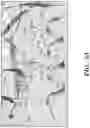 Fig. 06 - ENGINEERED BOTULINUM NEUROTOXIN