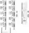 Fig. 12 - ENGINEERED BOTULINUM NEUROTOXIN