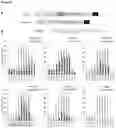 Fig. 19 - HIGH-PRECISION BASE EDITORS