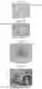 Fig. 06 - PARTICLES FOR CELL ADHESION AND UTILIZATION THEREOF