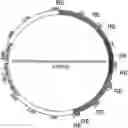 Fig. 01 - Self-immolative plasmid backbone