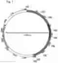 Fig. 02 - Self-immolative plasmid backbone