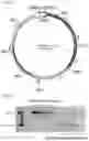 Fig. 03 - Self-immolative plasmid backbone