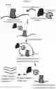 Fig. 04 - METHODS AND COMPOSITIONS FOR ASSESSING PROTEIN FUNCTION