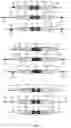 Fig. 02 - Methods for targeted insertion of DNA in genes