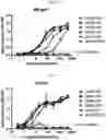 Fig. 04 - PROTEIN RESIDUE MAPPING USING A COMBINATION OF DEEP MUTATIONAL SCANNING AND PHAGE DISPLAY HIGH THROUGHPUT SEQUENCING