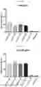 Fig. 05 - PROTEIN RESIDUE MAPPING USING A COMBINATION OF DEEP MUTATIONAL SCANNING AND PHAGE DISPLAY HIGH THROUGHPUT SEQUENCING