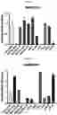 Fig. 10 - PROTEIN RESIDUE MAPPING USING A COMBINATION OF DEEP MUTATIONAL SCANNING AND PHAGE DISPLAY HIGH THROUGHPUT SEQUENCING