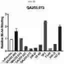 Fig. 11 - PROTEIN RESIDUE MAPPING USING A COMBINATION OF DEEP MUTATIONAL SCANNING AND PHAGE DISPLAY HIGH THROUGHPUT SEQUENCING