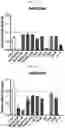 Fig. 13 - PROTEIN RESIDUE MAPPING USING A COMBINATION OF DEEP MUTATIONAL SCANNING AND PHAGE DISPLAY HIGH THROUGHPUT SEQUENCING