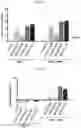 Fig. 23 - PROTEIN RESIDUE MAPPING USING A COMBINATION OF DEEP MUTATIONAL SCANNING AND PHAGE DISPLAY HIGH THROUGHPUT SEQUENCING