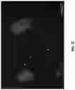 Fig. 11 - ANTIGEN BINDING MOLECULES AND METHODS OF SCREENING THEREOF