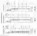 Fig. 22 - ANTIGEN BINDING MOLECULES AND METHODS OF SCREENING THEREOF