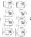 Fig. 25 - ANTIGEN BINDING MOLECULES AND METHODS OF SCREENING THEREOF