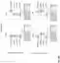 Fig. 31 - ANTIGEN BINDING MOLECULES AND METHODS OF SCREENING THEREOF