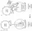 Fig. 42 - ANTIGEN BINDING MOLECULES AND METHODS OF SCREENING THEREOF