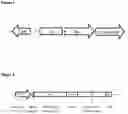 Fig. 08 - Method of Selecting for Antibodies