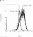 Fig. 10 - Method of Selecting for Antibodies