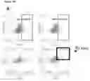 Fig. 15 - Method of Selecting for Antibodies