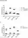 Fig. 25 - Method of Selecting for Antibodies