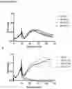 Fig. 26 - Method of Selecting for Antibodies