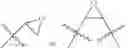 Fig. 07 - Functionalized plasmonic nanostructures