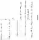 Fig. 05 - OLIGONUCLEOTIDE DIRECTED AND RECORDED COMBINITORIAL SYNTHESIS OF ENCODED PROBE MOLECULES