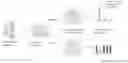 Fig. 01 - CHMP2A as a Regulator of Natural Killer Cell-Mediated Activity