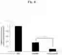 Fig. 05 - HETERO DOUBLE-STRANDED antimiR