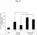 Fig. 09 - HETERO DOUBLE-STRANDED antimiR