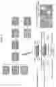Fig. 06 - INTRODUCING SILENCING ACTIVITY TO DYSFUNCTIONAL RNA MOLECULES AND MODIFYING THEIR SPECIFICITY AGAINST A GENE OF INTEREST